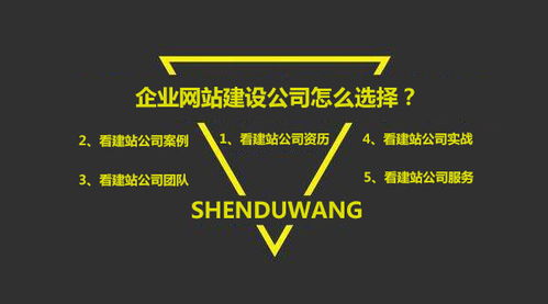 怎么看深圳網(wǎng)站建設(shè)公司專不專業(yè)